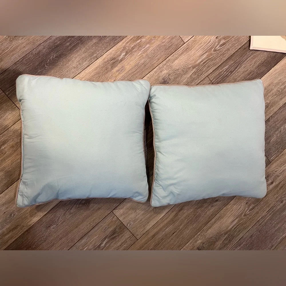 Set of 2 Throw Pillows
